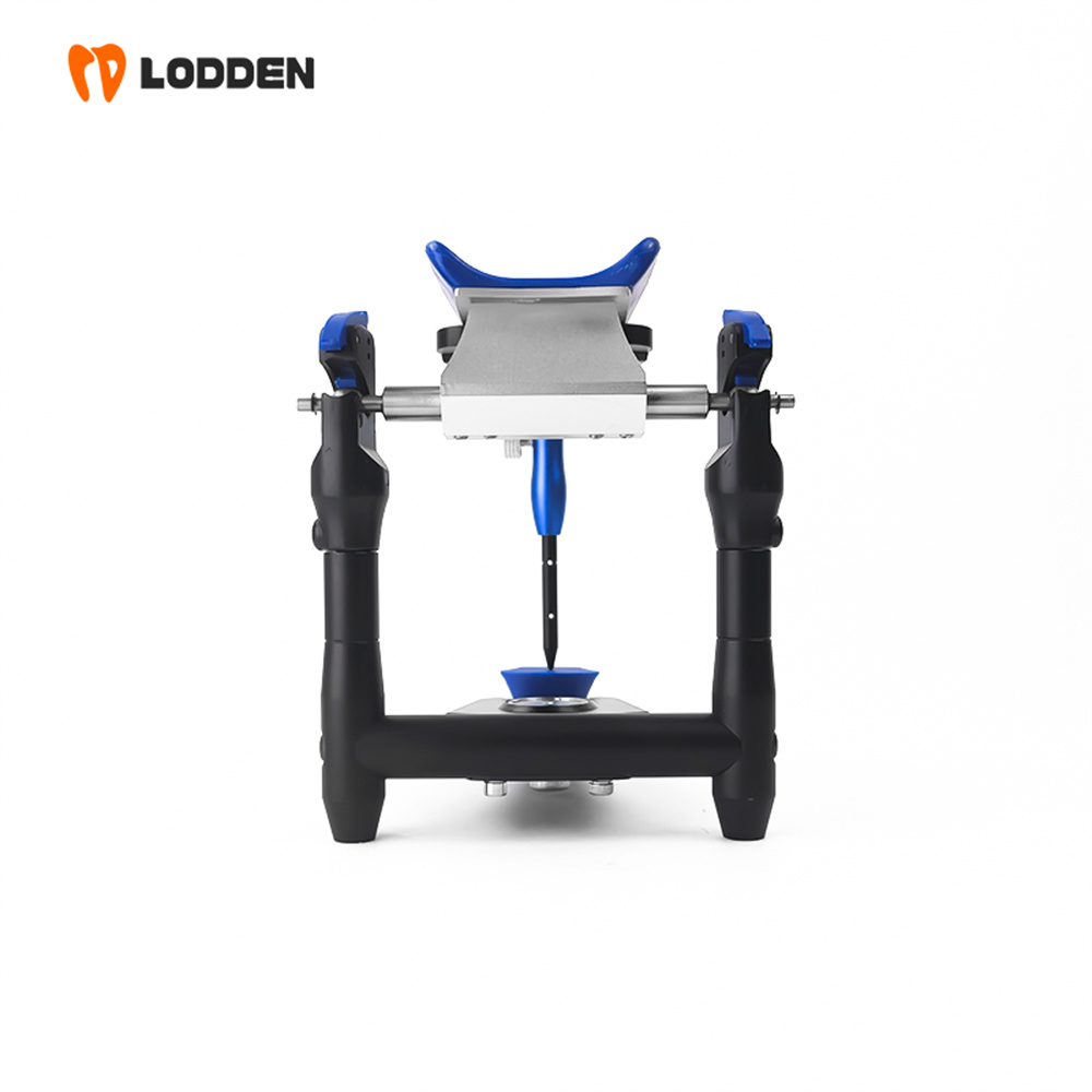 LODDEN BN Value Articulator Mi - Medical Lab Values recension och pris