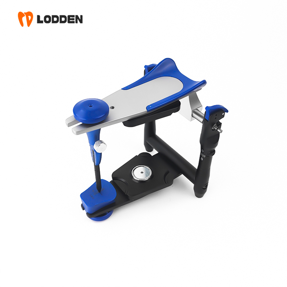 LODDEN BN Value Articulator Mi - Medical Lab Values recension och pris