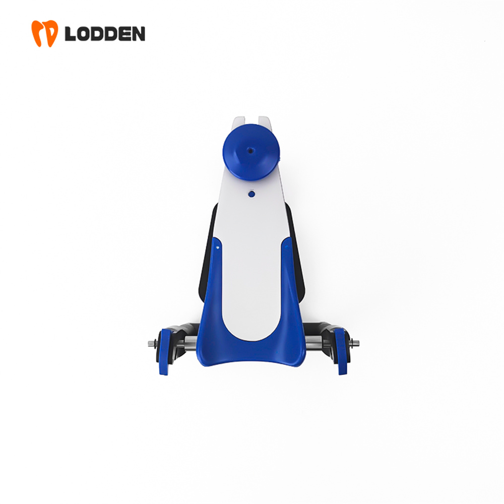 LODDEN BN Value Articulator Mi - Medical Lab Values recension och pris